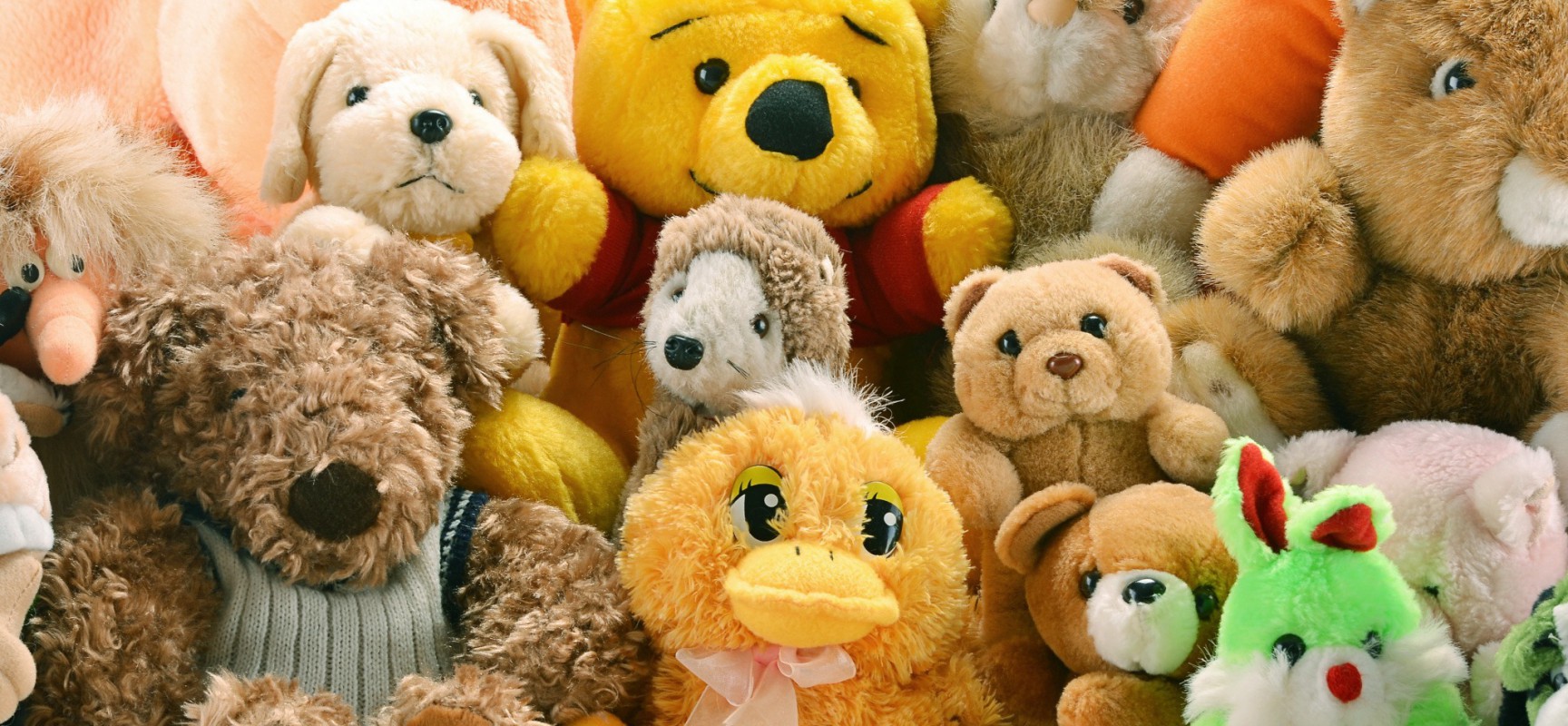 How To Clean Your Stuffed Animals Budsies Custom Gifts Blog