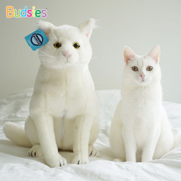 custom-stuffed-animals-of-your-pet