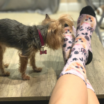 Princess socks with Dog